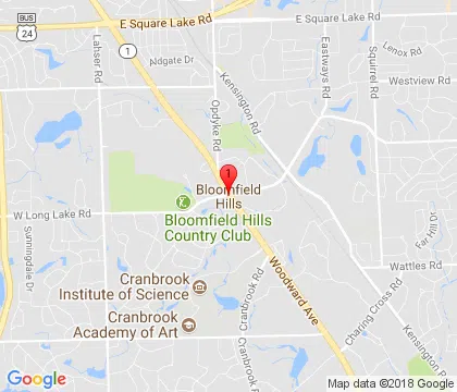 logo-image - bloomfield-hills-mi